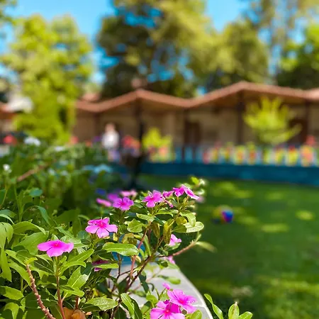 Hotel Likya Adrasan