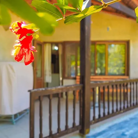 Likya Hotel *