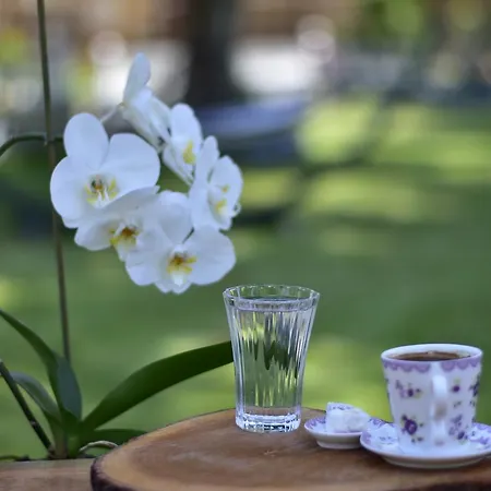 Likya Hotel