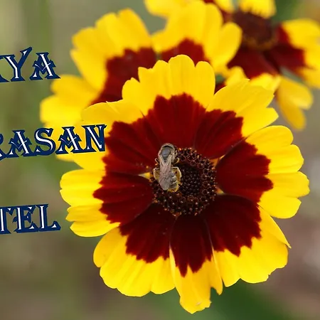 Likya * Adrasan